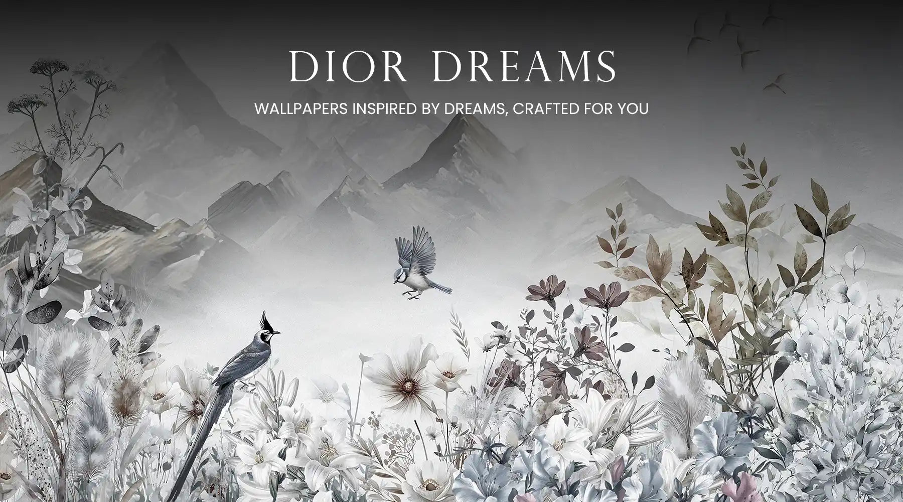 Dior Dreams